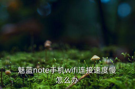 魅族手機(jī)數(shù)據(jù)上網(wǎng)慢,魅族手機(jī)上網(wǎng)慢怎么辦?可以這樣做!