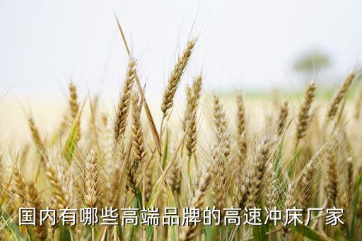 滄州自動化沖床公司有哪些,中國生產自動化設備公司有哪些?