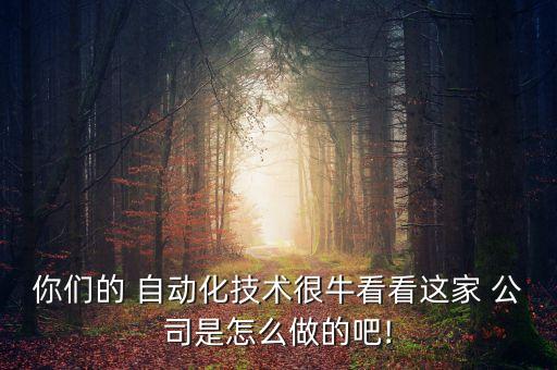公司如何進(jìn)行自動(dòng)化,自動(dòng)化公司排名前十