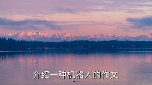機器人為你準備,未來的機器人有什么樣的作文呢?