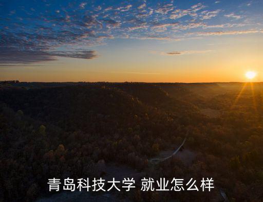 青科大自動(dòng)化專業(yè)就業(yè)情況,遼科大電氣工程及其自動(dòng)化就業(yè)情況