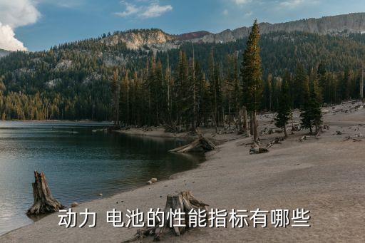 動(dòng)力電池