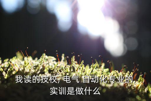 我讀的技校, 電氣 自動化專業(yè)的,實(shí)訓(xùn)是做什么