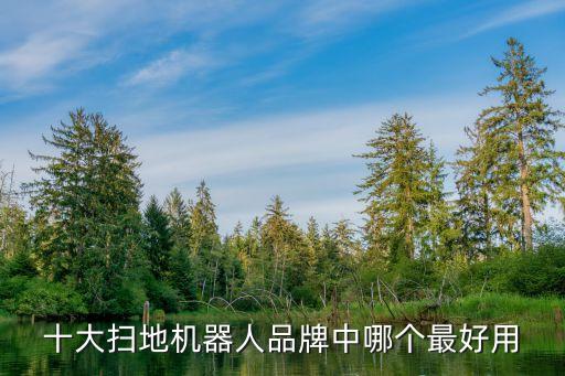 vivo機器人是什么牌子好,掃地機器人怎么做?看這里!