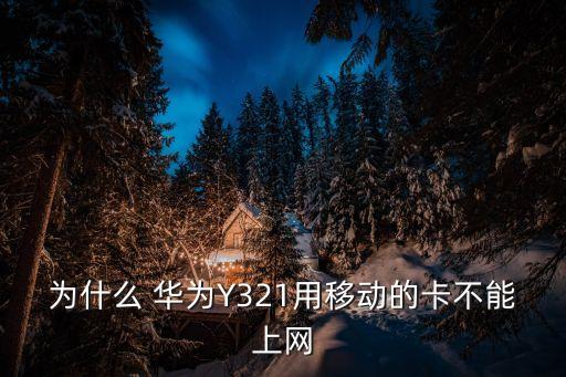 為什么手機(jī)嗯了數(shù)據(jù)連接 卻沒有網(wǎng)絡(luò) 怎么回事我的手機(jī)是華為y321