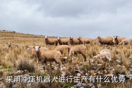 采用沖壓機(jī)器人進(jìn)行生產(chǎn)有什么優(yōu)勢(shì)