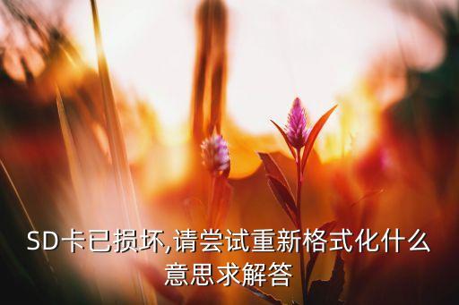 SD卡已損壞,請嘗試重新格式化什么意思求解答