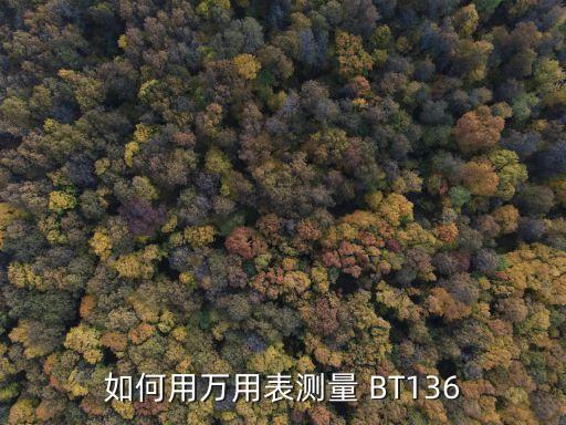 BT136,bt136-800參數(shù)