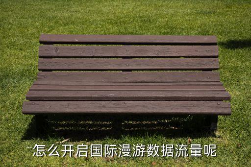 如何開通數(shù)據(jù)標(biāo)準(zhǔn)資費(fèi),國內(nèi)移動(dòng)數(shù)據(jù)流量如何開通國際漫游?