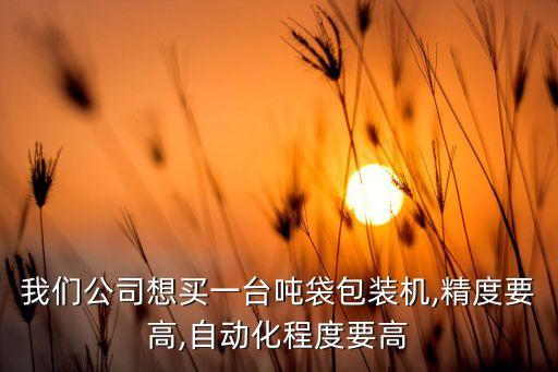 我們公司想買一臺噸袋包裝機,精度要高,自動化程度要高