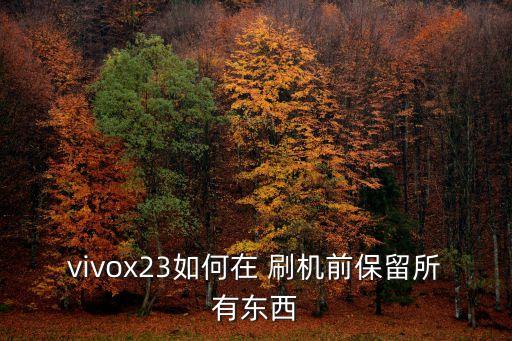 手機(jī)刷機(jī)如何保存數(shù)據(jù),vivo手機(jī)刷機(jī)可以保存數(shù)據(jù)嗎
