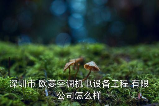 歐菱自動(dòng)化有限公司,成都?xì)W菱電氣有限公司怎么樣