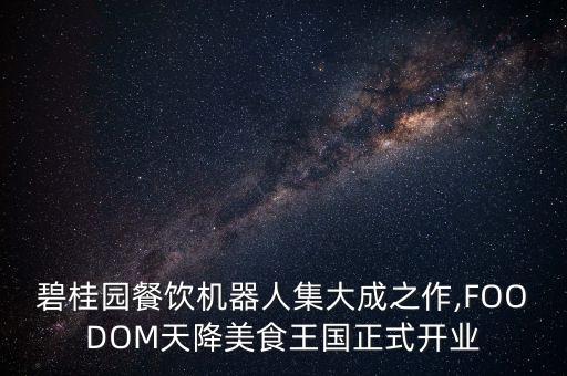 南陽機(jī)器人餐廳,餐廳機(jī)器人有何用處?