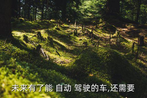 自制自動(dòng)駕駛汽車(chē),有自動(dòng)駕駛功能的汽車(chē)有哪些