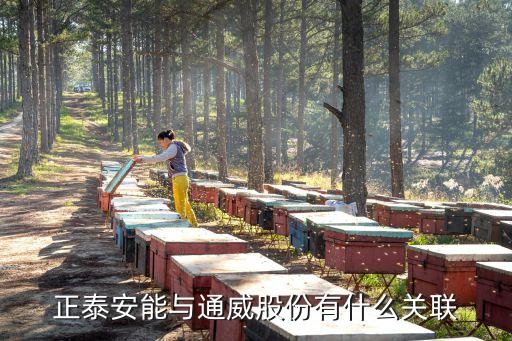 通威自動化集團公司,通廣建設和通威集團的關系是什么?