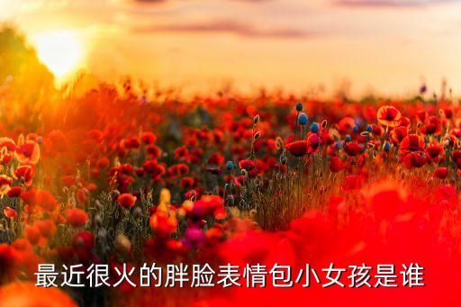 網(wǎng)紅小胖圖片,網(wǎng)紅小胖被刺身亡背后原因惹眾怒