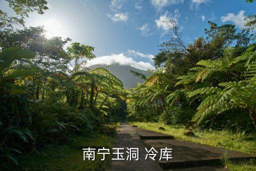 自動化冷庫倉儲公司,冷庫不會自動化霜是什么故障