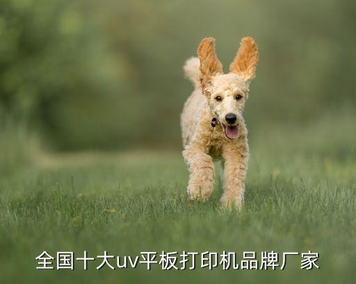 全國(guó)十大uv平板打印機(jī)品牌廠家