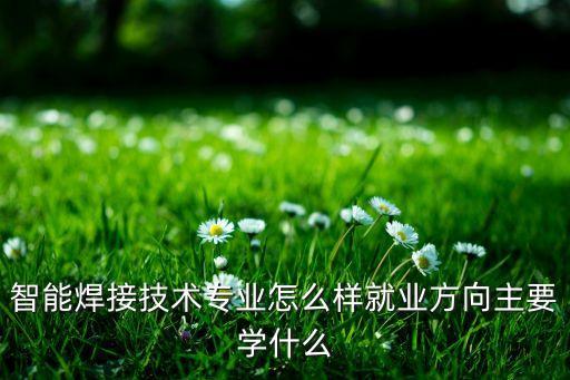 智能焊接技術(shù)專業(yè)怎么樣就業(yè)方向主要學(xué)什么