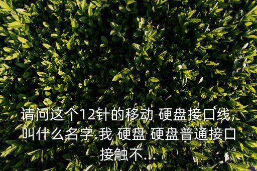 請問這個12針的移動 硬盤接口線,叫什么名字.我 硬盤 硬盤普通接口接觸不...