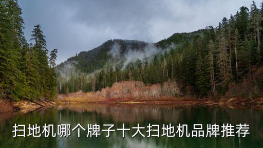 掃地機(jī)哪個(gè)牌子十大掃地機(jī)品牌推薦