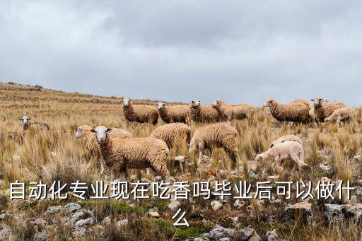 自動(dòng)化適合干電氣工程師嗎,電氣工程及其自動(dòng)化有何用處?