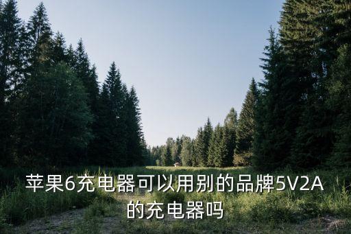 蘋果6充電器可以用別的品牌5V2A的充電器嗎