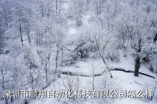 深圳市順翔自動化科技有限公司怎么樣