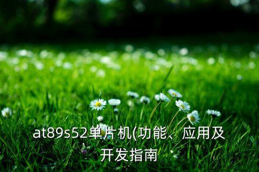 at89s52單片機(jī)(功能、應(yīng)用及開發(fā)指南