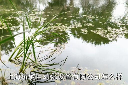 上?？娒糇詣?dòng)化設(shè)備,上?？娒糇詣?dòng)化設(shè)備有限公司怎么樣?