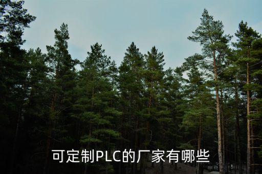 可定制PLC的廠家有哪些