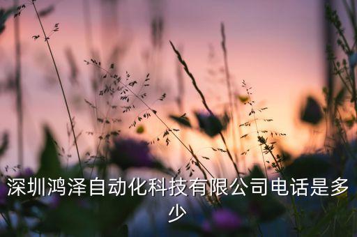 舞陽(yáng)自動(dòng)化設(shè)備公司電話,本地自動(dòng)化科技公司有哪些?