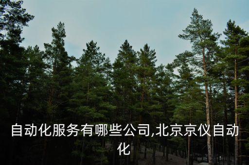 北京自動(dòng)化服務(wù)有哪些公司,北京京儀自動(dòng)化