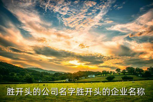 勝開(kāi)頭的公司名字勝開(kāi)頭的企業(yè)名稱