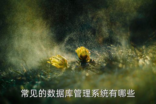數據管理服務器軟件,數據庫是管理服務器的軟件嗎?