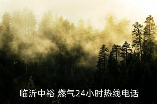  臨沂中裕 燃氣24小時熱線電話