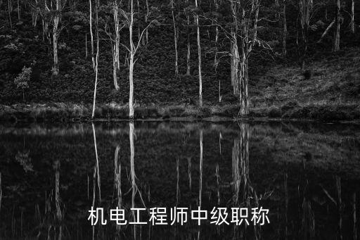 機(jī)電工程師中級職稱