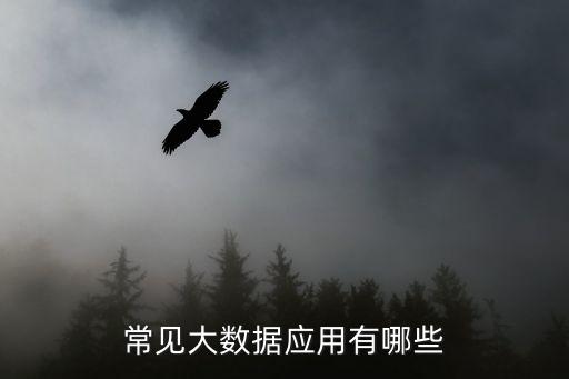 常見大數(shù)據(jù)應(yīng)用有哪些