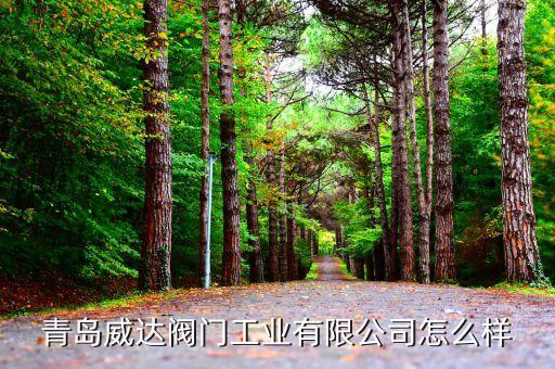 山東威達設(shè)備自動化改造,大連國際工業(yè)博覽會明天開始報名