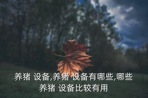 自動化供料系統(tǒng)設(shè)備全套,養(yǎng)殖場自動化供料設(shè)備