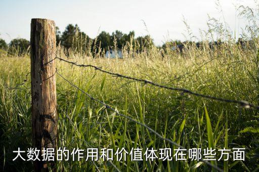 大數(shù)據(jù)與石油,河北石油職業(yè)技術(shù)大學(xué)大數(shù)據(jù)與會計怎么樣好?