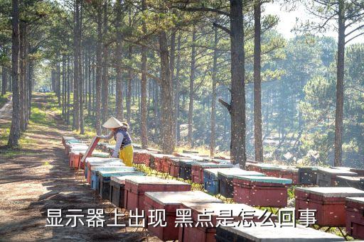 顯示器上出現(xiàn) 黑點(diǎn)是怎么回事