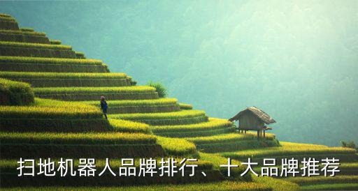 掃地機(jī)器人品牌排行、十大品牌推薦