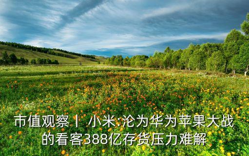 小米2015年營業(yè)總收入數據