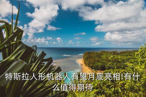 人形機(jī)器人空,馬克帶著人形機(jī)器人全面歸來有何看點(diǎn)?