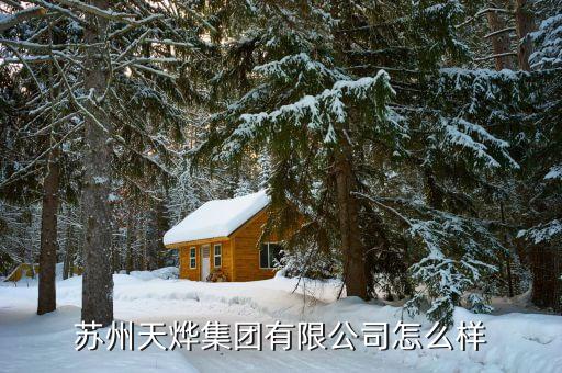 天燁自動(dòng)化設(shè)備,博世世燁信息技術(shù)有限公司怎么樣?