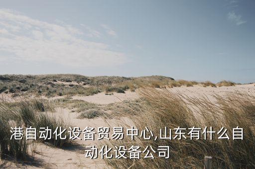 新沙港自動化設備貿(mào)易中心,山東有什么自動化設備公司?