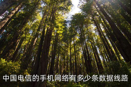 移動(dòng)運(yùn)營(yíng)商數(shù)據(jù)分析,中國(guó)電信的手機(jī)網(wǎng)絡(luò)數(shù)據(jù)線路數(shù)量分析