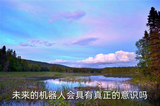 真正機器人,未來機器人能擁有真正意識嗎?
