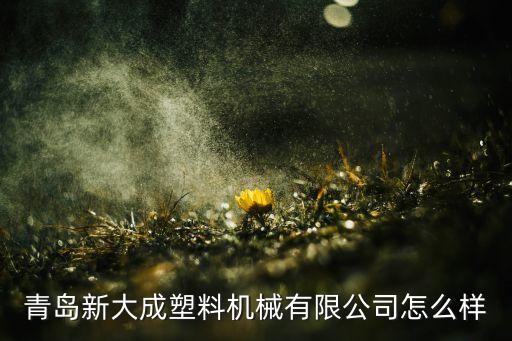 自動化打包帶生產(chǎn)設(shè)備打包帶廠家